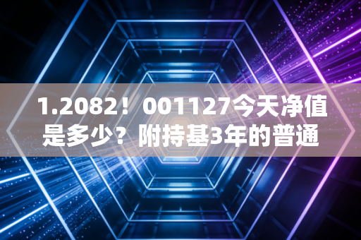 1.2082!001127今天净值是多少?附持基3年的普通人实操心得