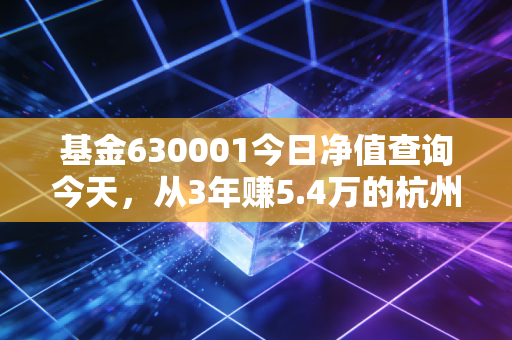 基金630001今日净值查询今天，从3年赚5.4万的杭州老师持仓故事，看懂华商领先企业混合的投资逻辑