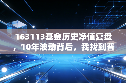 163113基金历史净值复盘，10年波动背后，我找到普通人投指数基金的稳赚逻辑