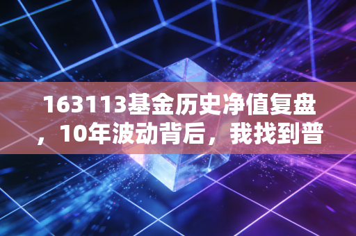 163113基金历史净值复盘，10年波动背后，我找到普通人投指数基金的稳赚逻辑