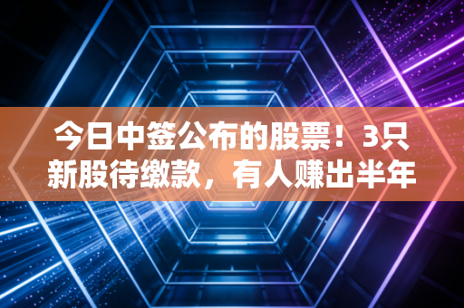 今日中签公布的股票！3只新股待缴款，有人赚出半年房贷有人亏掉苹果手机，散户打新最全攻略