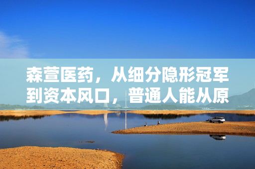 森萱医药,从细分隐形冠军到资本风口,普通人能从原料药行业的造富故事里学到什么?
