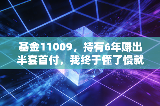 基金11009，持有6年赚出半套首付，我终于懂了慢就是快的投资真理