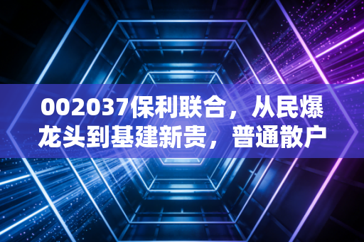 002037保利联合，从民爆龙头到基建新贵，普通散户该怎么看懂这只票的机会与坑？