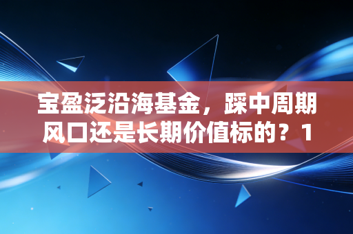 宝盈泛沿海基金,踩中周期风口还是长期价值标的?12年基民老周的持有故事给你答案