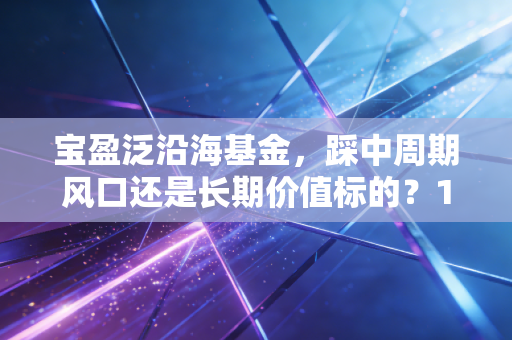宝盈泛沿海基金，踩中周期风口还是长期价值标的？12年基民老周的持有故事给你答案