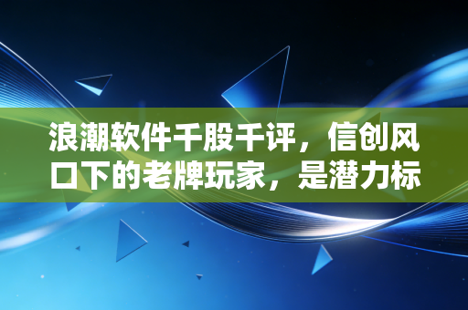 浪潮软件千股千评，信创风口下的老牌玩家，是潜力标的还是估值陷阱？