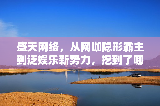 盛天网络,从网咖隐形霸主到泛娱乐新势力,挖到了哪些穿越周期的密码?