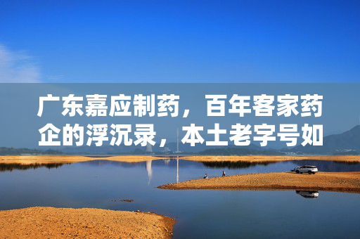 广东嘉应制药，百年客家药企的浮沉录，本土老字号如何穿越周期破局重生