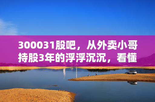 300031股吧,从外卖小哥持股3年的浮浮沉沉,看懂宝通科技的投资逻辑与避坑指南