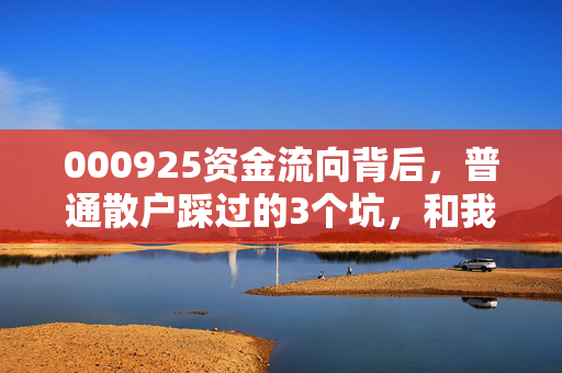 000925资金流向背后,普通散户踩过的3个坑,和我从老周的投资故事里悟到的底层逻辑