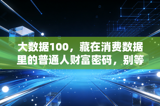 大数据100，藏在消费数据里的普通人财富密码，别等同龄人赚了你才后知后觉