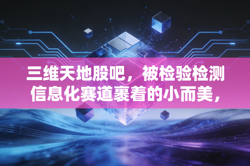 三维天地股吧,被检验检测信息化赛道裹着的小而美,到底是馅饼还是陷阱?