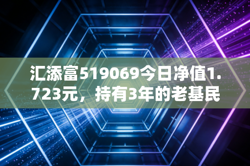 汇添富519069今日净值1.723元,持有3年的老基民告诉你,价值型基金要不要现在加仓?