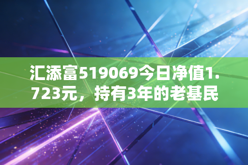 汇添富519069今日净值1.723元，持有3年的老基民告诉你，价值型基金要不要现在加仓？