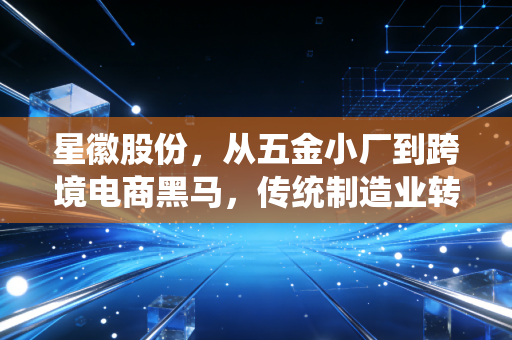 星徽股份，从五金小厂到跨境电商黑马，传统制造业转型的踩坑与破局样本