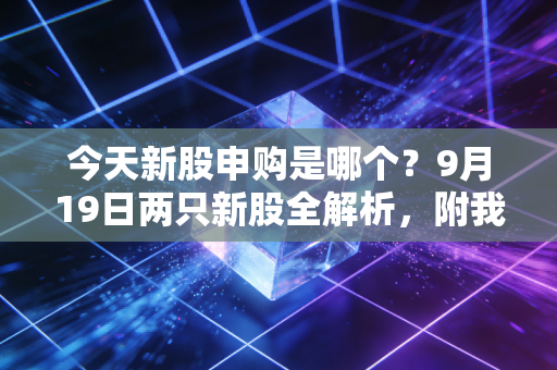 今天新股申购是哪个？9月19日两只新股全解析，附我用了8年的打新赚钱攻略