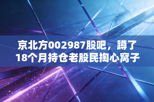 京北方002987股吧，蹲了18个月持仓老股民掏心窝子，基本面、操作逻辑和真心话全拆解