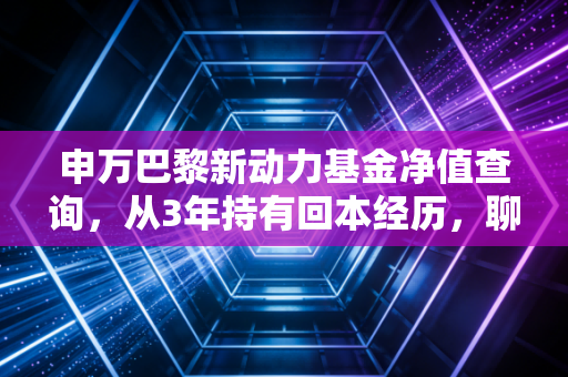 申万巴黎新动力基金净值查询，从3年持有回本经历，聊聊主动基查净值背后的避坑逻辑