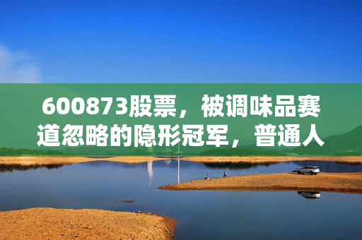 600873股票,被调味品赛道忽略的隐形冠军,普通人的价值投资样本值得抄作业吗?
