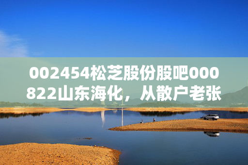002454松芝股份股吧000822山东海化，从散户老张的两笔持仓看普通人的投资生存法则
