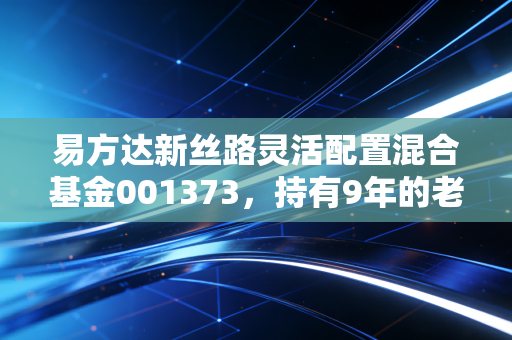 易方达新丝路灵活配置混合基金001373,持有9年的老基民真心话,一带一路主题基到底能不能买?
