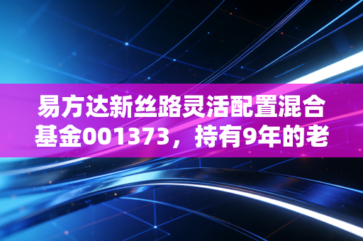 易方达新丝路灵活配置混合基金001373,持有9年的老基民真心话,一带一路主题基到底能不能买?