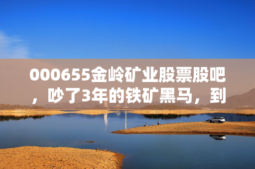 000655金岭矿业股票股吧，吵了3年的铁矿黑马，到底是普通人的掘金坑还是翻身票？
