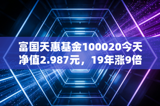 富国天惠基金100020今天净值2.987元，19年涨9倍的「公募常青树」，普通人到底能不能拿得住？
