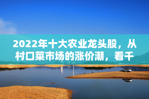 2022年十大农业龙头股，从村口菜市场的涨价潮，看千亿农业赛道的投资逻辑