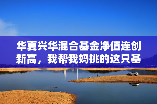 华夏兴华混合基金净值连创新高,我帮我妈挑的这只基,为啥3年跑赢了小区理财团90%的选择?
