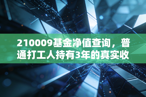 210009基金净值查询，普通打工人持有3年的真实收益，我为什么劝你别光看单日涨跌？