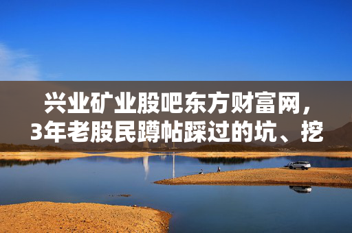 兴业矿业股吧东方财富网，3年老股民蹲帖踩过的坑、挖到的实料与持投3年的真实心得