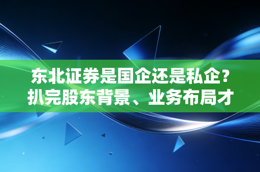 东北证券是国企还是私企？扒完股东背景、业务布局才发现，东北券业的顶梁柱藏得太深