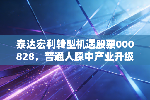 泰达宏利转型机遇股票000828，普通人踩中产业升级风口的靠谱选择？我拿3年的真实持仓心得说透