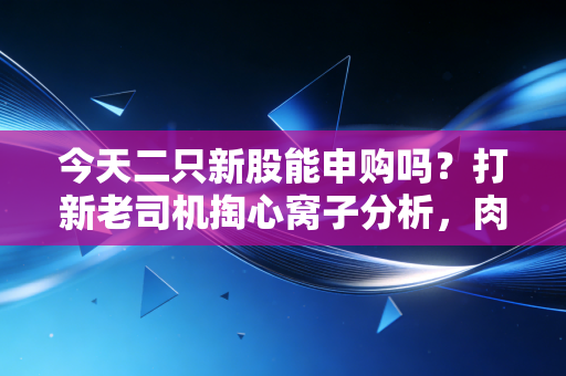 今天二只新股能申购吗？打新老司机掏心窝子分析，肉签概率、踩坑风险全算明白了