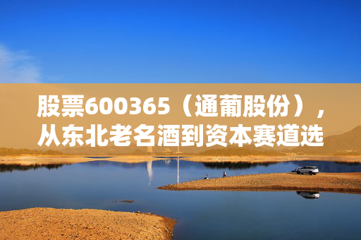 股票600365(通葡股份),从东北老名酒到资本赛道选手,普通散户要不要上车?