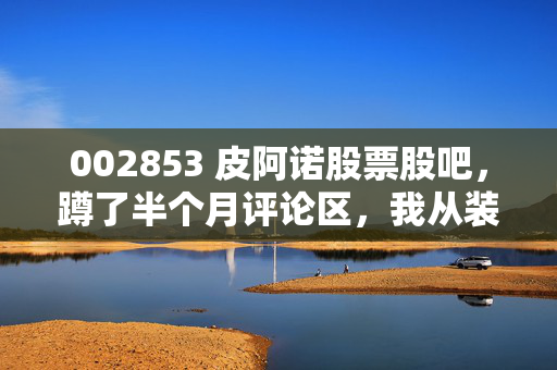002853 皮阿诺股票股吧，蹲了半个月评论区，我从装修踩坑经历聊透这只票的持有逻辑