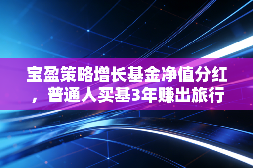 宝盈策略增长基金净值分红,普通人买基3年赚出旅行基金的真实经验分享