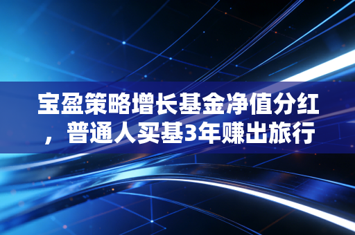 宝盈策略增长基金净值分红，普通人买基3年赚出旅行基金的真实经验分享