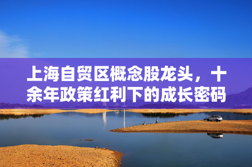 上海自贸区概念股龙头，十余年政策红利下的成长密码与普通人的投资新机遇