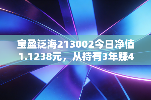 宝盈泛海213002今日净值1.1238元，从持有3年赚4600的邻居案例，聊聊普通人投主动基的避坑逻辑