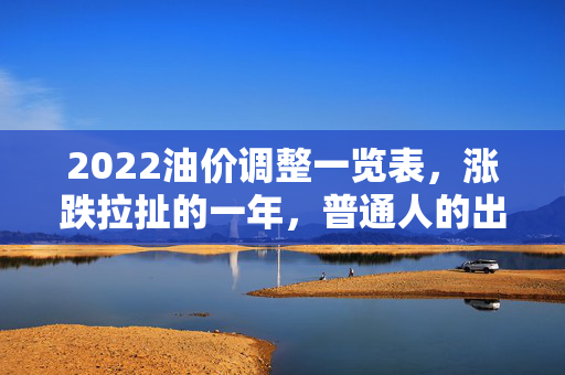2022油价调整一览表，涨跌拉扯的一年，普通人的出行账本与能源转型信号