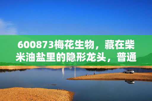 600873梅花生物，藏在柴米油盐里的隐形龙头，普通散户也能抓得住的稳稳幸福标的