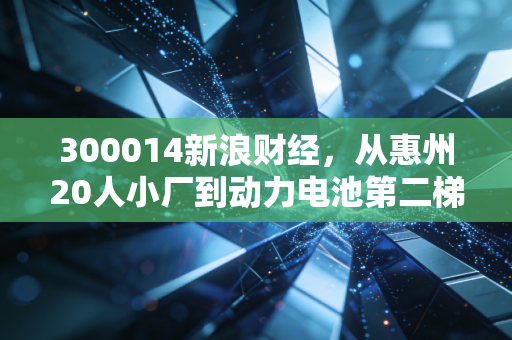 300014新浪财经，从惠州20人小厂到动力电池第二梯队领头羊，亿纬锂能的涨跌里藏着普通人的投资与生活
