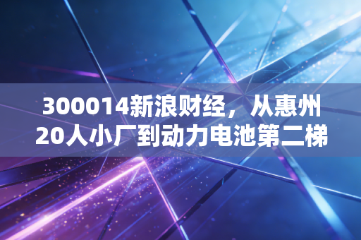 300014新浪财经，从惠州20人小厂到动力电池第二梯队领头羊，亿纬锂能的涨跌里藏着普通人的投资与生活