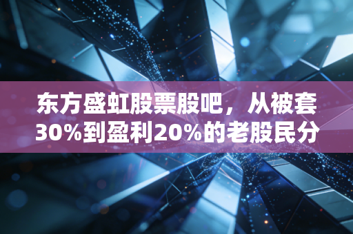 东方盛虹股票股吧，从被套30%到盈利20%的老股民分享，我看懂了这只化工龙头的长期逻辑