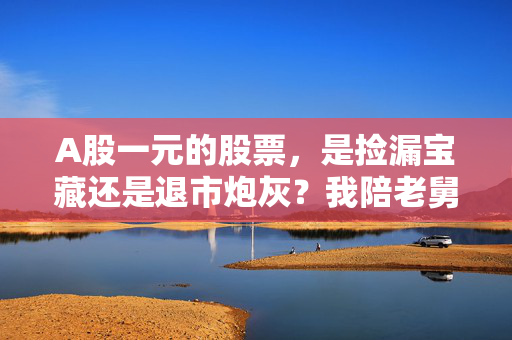 A股一元的股票，是捡漏宝藏还是退市炮灰？我陪老舅抄底的3年教训给你答案