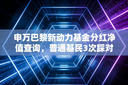申万巴黎新动力基金分红净值查询，普通基民3次踩对红利节点的实操复盘，附小白查询全指南