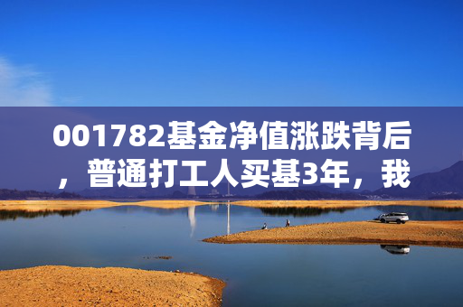 001782基金净值涨跌背后，普通打工人买基3年，我终于摸透了净值里的赚钱门道